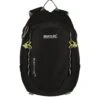 Regatta Survivor V4 20L Backpack
