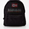 NAPAPIJRI Hering Backpack