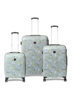 REDLAND Bird Set 3 Hard Cases